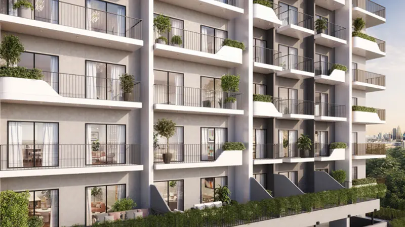 800