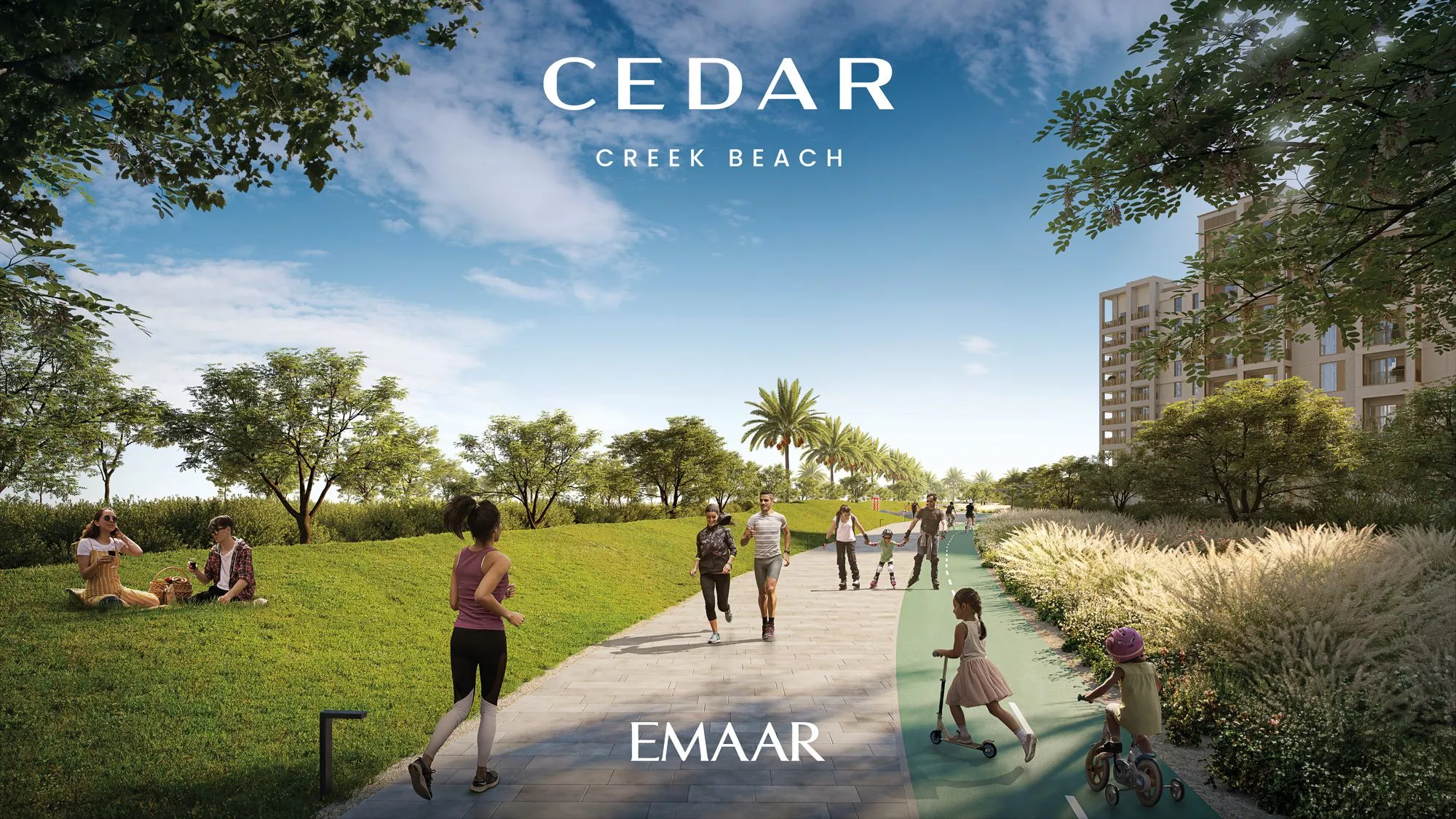 Cedar